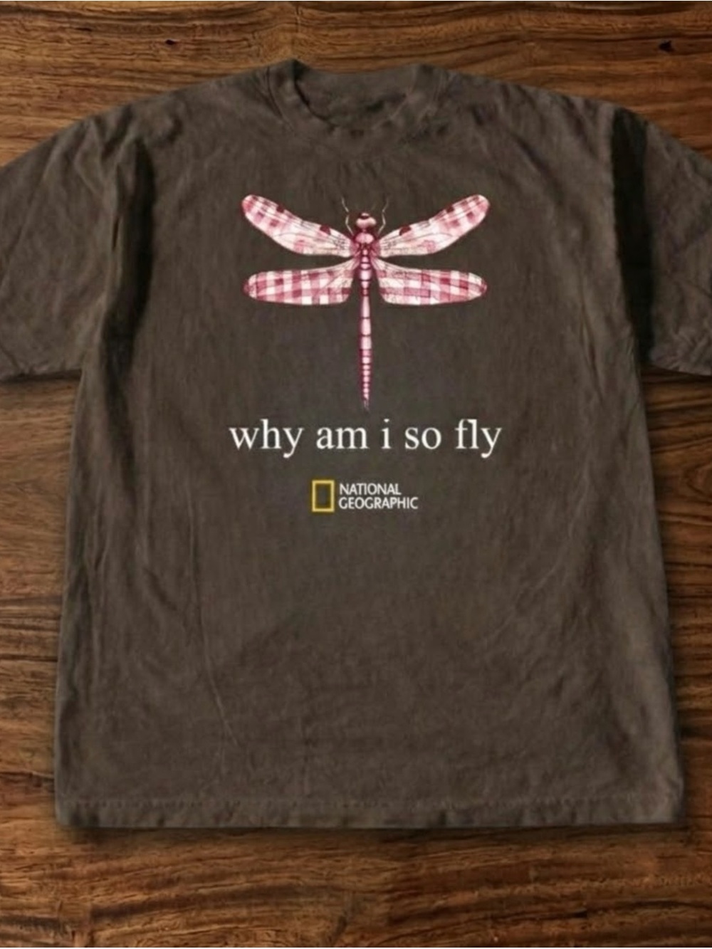 National Geographic Brown Tee with Pink Plaid Dragonfly Graphic